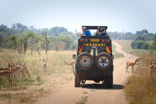 7- 10 Days Rwanda safari itinerary and costs ideas and Suggestions